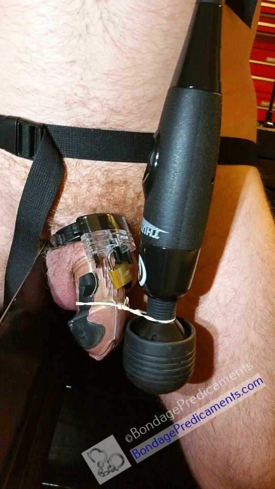 Chastity Wooden Horse Edging Predicament